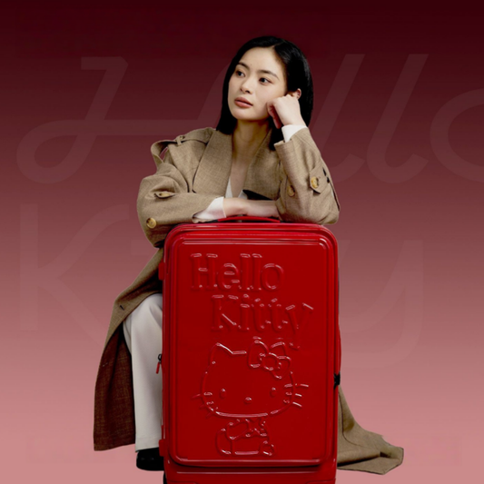 Expandable Embossed Hard Shell Suitcase C-30009